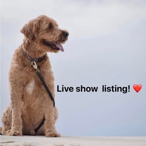 🌻 Sunrayseller is LIVE! 🌻 Like this listing for when I go live! 🌻💛🐝